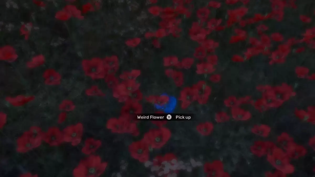 Cosa fa lo strano fiore in Stalker 2?